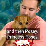 James Maslow Instagram - The story of Posey @jamesmaslow @caitlinsheyspears @princessposeypup follow @fanwardofficial for more fan requested stories like this from James :)