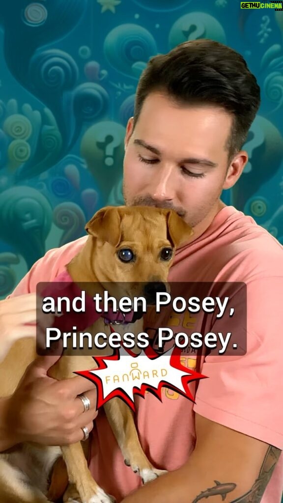 James Maslow Instagram - The story of Posey @jamesmaslow @caitlinsheyspears @princessposeypup follow @fanwardofficial for more fan requested stories like this from James :)
