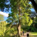 James May Instagram - Some views of Cheesewick House grounds, in nice light. End of observation.