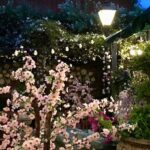 James May Instagram - Weird drunk pub garden bollox.