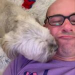 James Murray Instagram - Tix are NOW ON SALE for my Fall Comedy Tour - cities include Dania Beach / Fort Lauderdale FL, Knoxville, Louisville, Charleston WV, Sayreville NJ, Royal Oak MI, Fort Wayne IN, Providence RI, Springfield MO, Tulsa, Omaha, Tucson, San Diego, Chesterfield / St. Louis MO, Chattanooga, Albany GA, Albany NY, Tysons Corner VA, Roanoke & Norfolk! Get your tix here: www.MurrLive.com Bring the entire family for a night of laughs!
