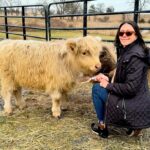 James Murray Instagram - Gizmo updates! Our bestest Mini Highland Cow is doing great, with the help of our good friends at Deer Run Hay Company. Penny and Gizmo are basically best friends at this point. Check out the farm at www.DeerRunHayCo.com