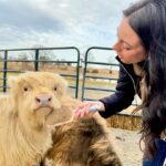 James Murray Instagram - Gizmo updates! Our bestest Mini Highland Cow is doing great, with the help of our good friends at Deer Run Hay Company. Penny and Gizmo are basically best friends at this point. Check out the farm at www.DeerRunHayCo.com