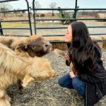 James Murray Instagram - Gizmo updates! Our bestest Mini Highland Cow is doing great, with the help of our good friends at Deer Run Hay Company. Penny and Gizmo are basically best friends at this point. Check out the farm at www.DeerRunHayCo.com