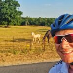 James Phelps Instagram – Sunrise bike ride. On my route there was a nice straight run next to a field when these ‘locals’ decided to trot with me. #sunday #horse #cycling