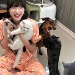 Jannine Parawie Weigel Instagram - มาดูคาเฟ่แมวที่บ้านเราไม๊…😼 @pajara.official