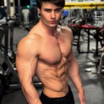 Jeff Seid Instagram - I’ve been training and dieting hard for my trip to England this weekend. Here’s a couple shots from my last workout today in America before I fly out. It’s not easy being aesthetic but nothing worth having is easy. See you all this weekend at the @vqfit pop store in London.