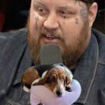 Jelly Roll Instagram - @jellyroll615’s Dog Has Been On Tour Since Birth 🐕