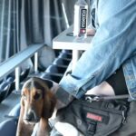 Jelly Roll Instagram - Bussie the Bus Dawg loved Bristol Tennessee- he was sad he didn’t get to meet Smokey- I told him next time for sure …… thank you Country Thunder