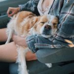 Jenn McAllister Instagram - driving cross country / day 4 Iowa, USA
