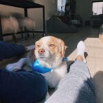 Jenn McAllister Instagram - he’s glowing Los Angeles, California