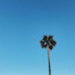 Jenn McAllister Instagram - :) Los Angeles, California