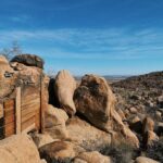 Jenn McAllister Instagram - wow Joshua Tree, California