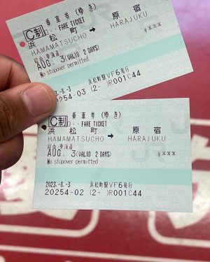 Jesy Nelson Instagram - 2023 Travels! 🇮🇳🇹🇷🇱🇰🇯🇵 🌎 @zionfoster