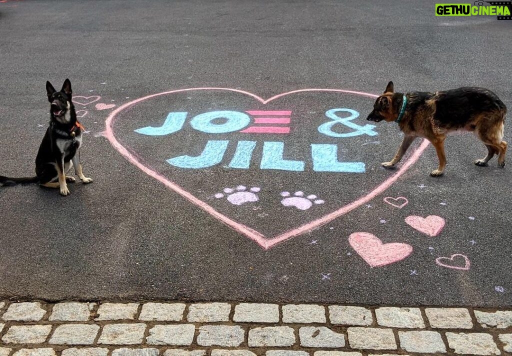 Jill Biden Instagram - Meanwhile, back in Wilmington... ❤🐶 Champ and Major 🐶❤