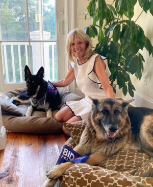 Jill Biden Instagram - Build Bark Better.

Happy #NationalDogDay