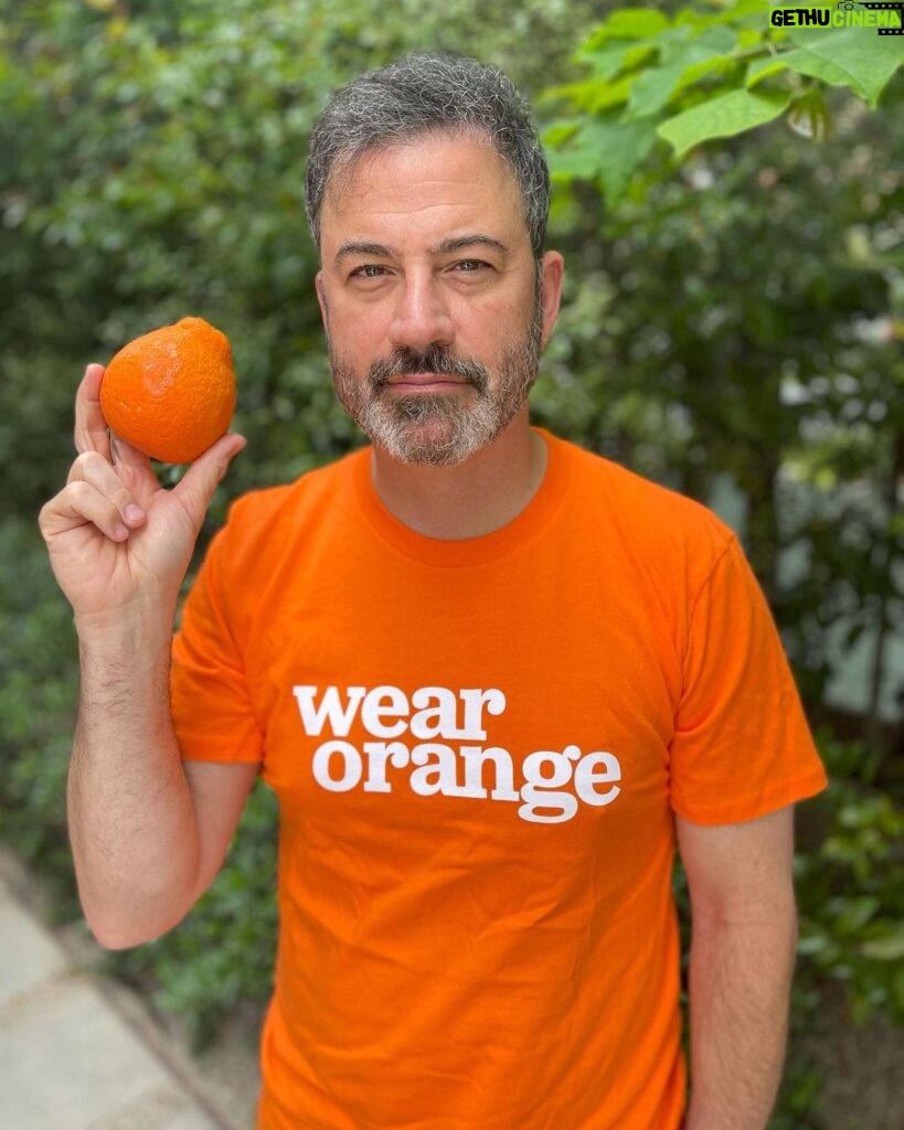 Jimmy Kimmel Instagram - Today is National Gun Violence Awareness Day. Remember the families devastated by a crisis that claims innocent lives every day. The time to act is NOW. #WearOrange @Everytown