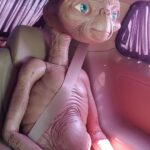 Jin Goo Instagram - #E.T 와 함께~ 오랜만이지^^ 모두모두 보고 싶어요~ E.T도 안전벨트!! #교통안전캠페인