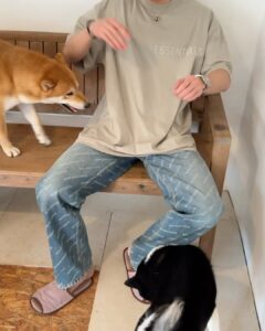 Jiratchapong Srisang Instagram - 🤨🐶