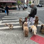 Joalin Loukamaa Instagram - Joalin Joalin Perritos Joaliiiin NYC