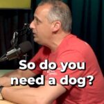 Joe Gatto Instagram – It’s Episode 67 of Two Cool Moms. Up top, we get into stories about how Joe regularly raids stages at charity events to cause chaos and a discussion about how mind blowing the accessibility of content is. The mommies then reflect on Joe’s mother’s irrational fear of the microwave and Steve’s moms inability to tackle home decor.  The questions pop off and lead the moms to cover what would be their comedic superpowers, what real talents they would want and how to handle regret. 
 
Link in bio to watch on YouTube or listen on all platforms.