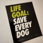 Joe Gatto Instagram - You know this is the truth. Thanks for the goods @puppiesmakemehappy . Check them out for some really great stuff. Also looking forward to our upcoming partnership with @gattopupsandfriends. Thanks for being awesome