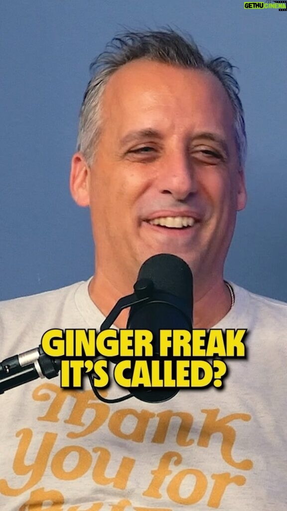 Joe Gatto Instagram - @joe_gatto gets confronted 🤣🤣🤣 #whiskeyginger #whiskeygingerpodcast #reels #andrewsantinopodcast #reels #reelsinstagram