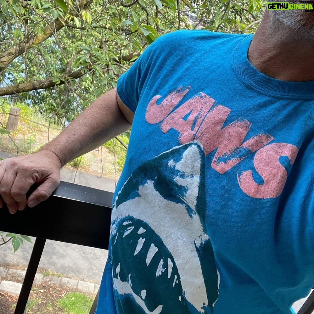 Joe Lo Truglio Instagram - “Martin, it's all psychological. You yell barracuda, everybody says, "Huh? What?" You yell shark, we've got a panic on our hands on the Fourth of July.” I’ll be watching this today… 🦈#Jaws#MayorVaughn 🇺🇸💥Happy 4th. 💥🇺🇸