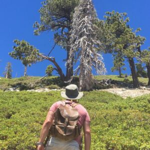 Joe Lo Truglio Instagram - 🌞Last Wednesday I climbed to the summit of Mt Baldy with some buds.  10,000 ft.  We started at San Antonio Falls, an elevation of 6,000 ft.  Four hours, fifteen minutes up. 
Two hours fifty minutes down. 
It destroyed my legs but exploded my spirit. Still feeling the ripples of both. Next day, I go to Joshua Tree. All muscles at Defcon  1 so my hand starts spasming.  I laugh because that’s all I can do at 70 mph.  I land in the desert and spend two nights.  It’s like sleeping in a planetarium.  Infinite stars.  Mars is out and red as hell.  I see the comet 🌠before it goes away for another 6800 years.  Discovered some constellations: Scorpio ♏️and Saggitarius♐️. The world is insane and the future unknown but in just four days I’ve been able to reset the compass.  Friends, you won’t regret it.  Get outside.  Test your limits.  Challenge your stamina.  If it hurts, even better.  You’ll feel alive and not numb to all this noise thrown at you everyday.  If you can, climb.  If it’s at night, look up.  Check your water supply.  Tell your people you love them.  And wear a f*cking mask. 
☀️☀️☀️☀️☀️☀️
I challenge fellow cast mates, the incomparable @melissafumero and @stephaniebeatriz, as well as my old friends, @kenmarino and @thomaspatricklennon to #WearAMask
💫💫💫💫
PS. You do not have to be at 10,000 ft but EXTRA POINTS if you are.