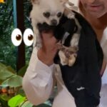 Joe Manganiello Instagram - Is it a Deal or No Deal for @joemanganiello's precious pup Bubbles?! 🐶 #DealOrNoDealIsland is all-new TONIGHT 10/9c on @nbc and streaming on @peacock!
