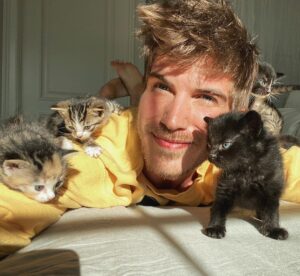 Joey Graceffa Instagram - I think I win for the cutest quarantine buddies 😽 which kitten is your fave?
