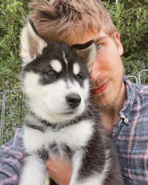 Joey Graceffa Instagram - I’m Baaaaaack! Finally feeling better! 🙌🏼 thanks for all the well wishes while I was away! Me and the puppers have missed you guys! ♥️🐶 10 points to whoever can tell me which puppy this is? 🧐