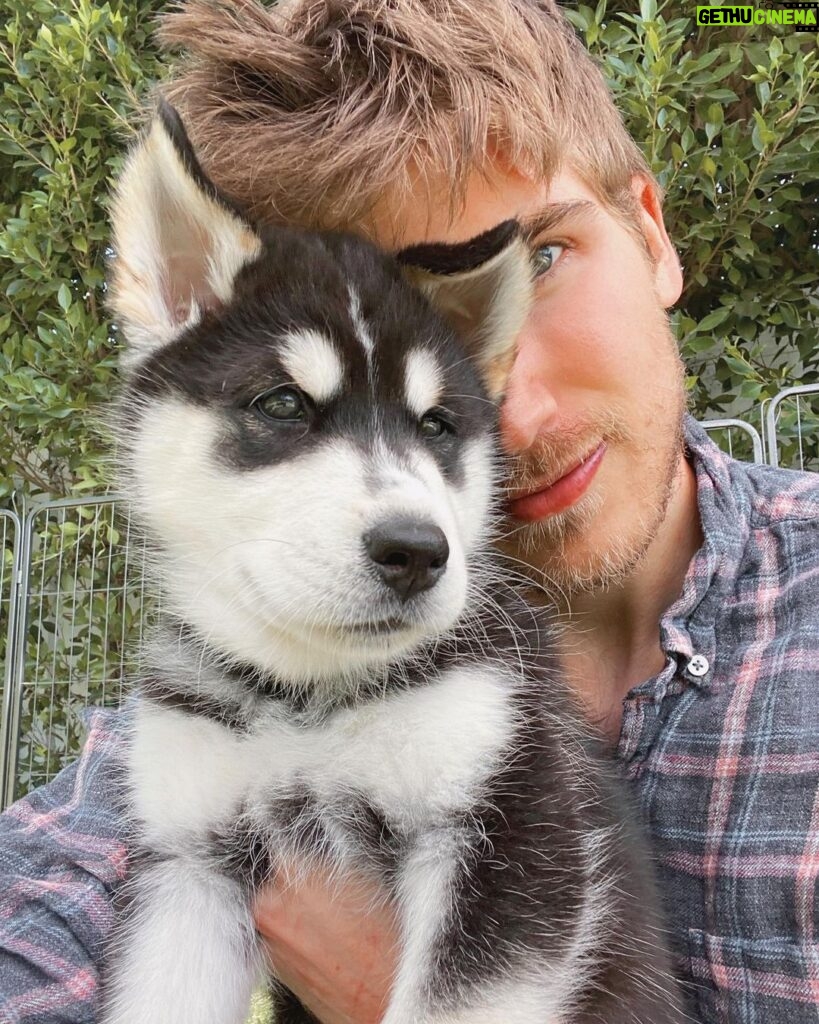 Joey Graceffa Instagram - I’m Baaaaaack! Finally feeling better! 🙌🏼 thanks for all the well wishes while I was away! Me and the puppers have missed you guys! ♥️🐶 10 points to whoever can tell me which puppy this is? 🧐