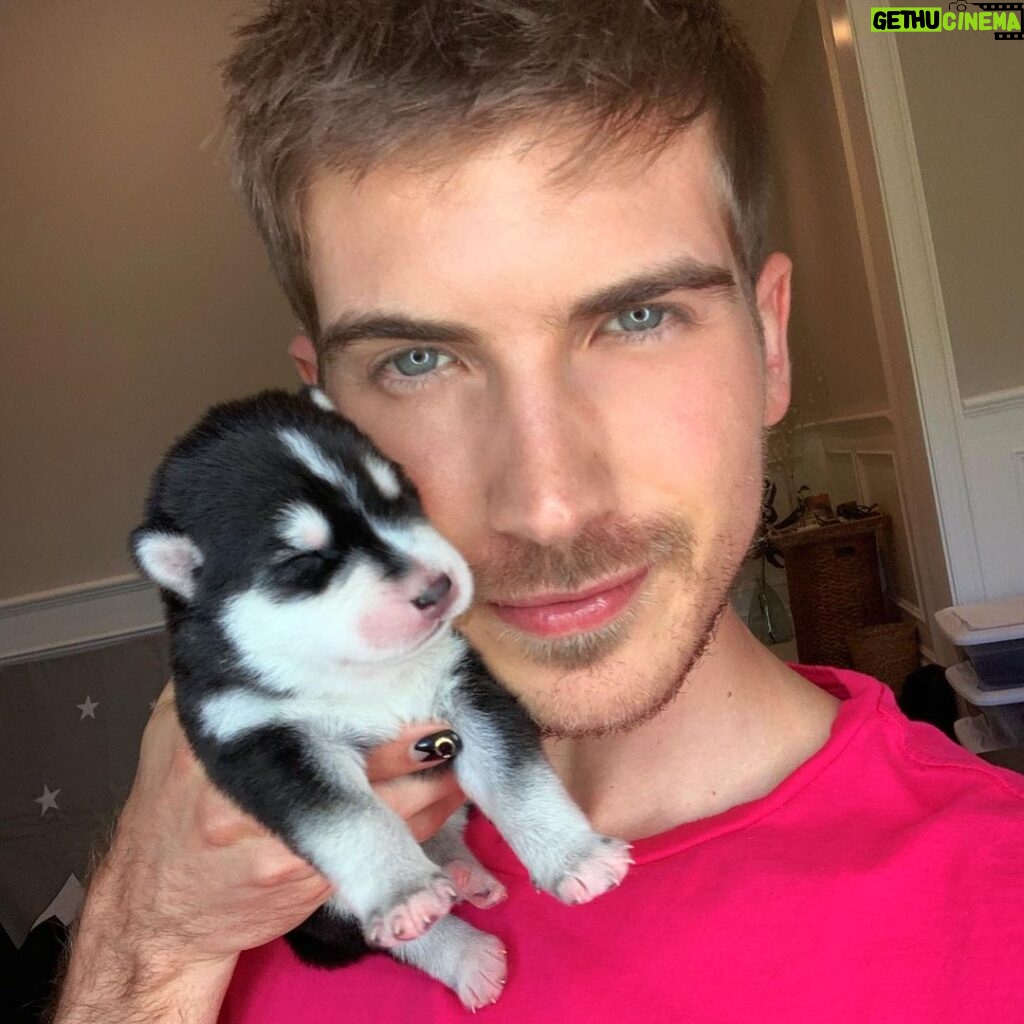 Joey Graceffa Instagram - At least my puppy laughs at my jokes...