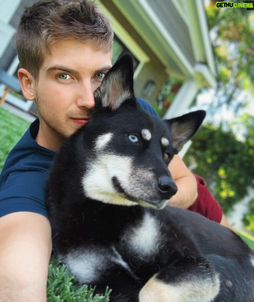 Joey Graceffa Instagram - She’s gonna be the best mommy ever 🐶 @thehuskypac