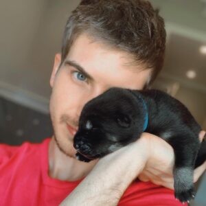 Joey Graceffa Instagram - They grow up too fast 😭 If I’m being honest, I never thought I would ever be this emotional seeing the dogs find their forever homes. They’ve brought us so much joy over the past few months and I wouldn’t trade this experience for anything. 💙 Always our sweet baby blue bear 🐻 @thehuskypac