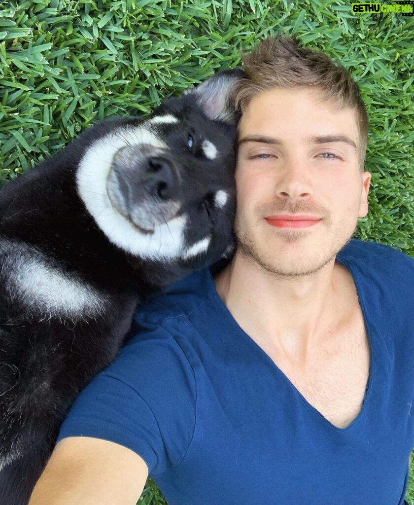 Joey Graceffa Instagram - She’s gonna be the best mommy ever 🐶 @thehuskypac