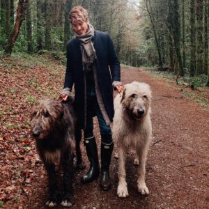 Joey Graceffa Instagram - yeah I’m into BDSM
Big
Dogs
Snuggling 
Me