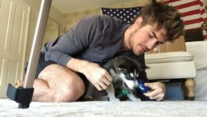 Joey Graceffa Instagram - HAPPY BIRTHDAY WOLFIE! How is he already 4 years old! I got so lucky with the most kind and loving dog! I can’t believe four years ago @misterpreda found you in downtown LA and now you’re our favorite boy! love him so much! ❤️🐺😭 @thehuskypac