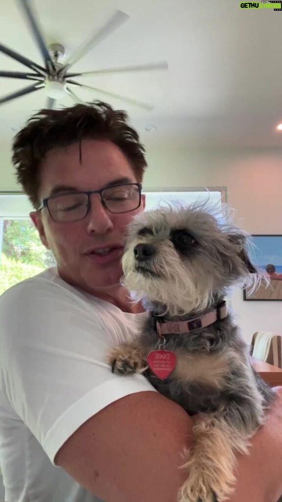 John Barrowman Instagram - A quick live chat just for fun. We talked everything from dogs to Nashville Tennessee drag, queens, Mickey Mouse, memorabilia, toys, garage sales, and the Kings upcoming Coronation. . . #palmsprings #london #nashville #love #toys #travel #dogs #life #gijoe #actionman #uk #saygay #disneyworld #garagesale #lgbtq #lgbtqia Palm Springs, California