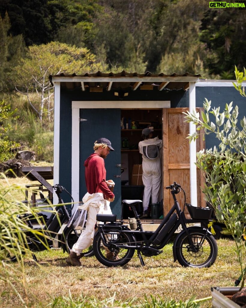 John John Florence Instagram - Harvest day