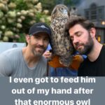 John Krasinski Instagram - @vancityreynolds Thank you for always being so gentle...