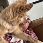 Johnny Knoxville Instagram - Bucket is out of control. Her new thing is to sit on the back of the couch like a cat and completely maul us with kisses. How did we end up with such a nut for a dog?