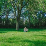 Johnny Orlando Instagram - I wrote close to you & thinking of me at the beginning of this year after a lot of reflecting on 2022. I’m glad u all have been enjoying them, here’s a little bit of what they sounded like during the writing process 🦋