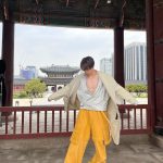 Johnny Suh Instagram - fact check