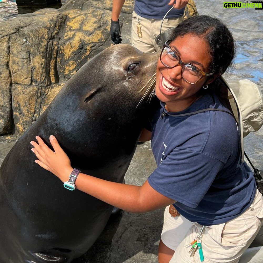 Jordana Brewster Instagram - We are proud to announce Daran Towns as the 2023 Paul Walker Foundation Award and Scholarship recipient. This scholarship recognizes her hard work and exceptional dedication to our mission of doing good. As a volunteer at the Monterey Bay Aquarium and the Aquarium of the Pacific, Daran has contributed to her community by supporting marine life and educating her friends and family about the importance of ocean conservation. 💙 "Growing up in the valley made me realize that there are so many people out there with no ocean education and I want to help bridge the gap, starting with my own community! I can’t wait to further the foundation's mission of education and doing good in the world. I am so blessed, honored, and overjoyed to receive the 2023 Paul Walker Foundation Award and Scholarship." – Daran Towns, 2023 Paul Walker Foundation Award and Scholarship Recipient  Visit paulwalkerfoundation.org to learn more.  #dogood #scholarshipsthatdogood #paulwalkerfoundation