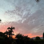 Jordana Brewster Instagram -