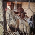José Ron Instagram - Más fotos de nuestro Gallo de oro querido 🤗✨ Solo por @vix