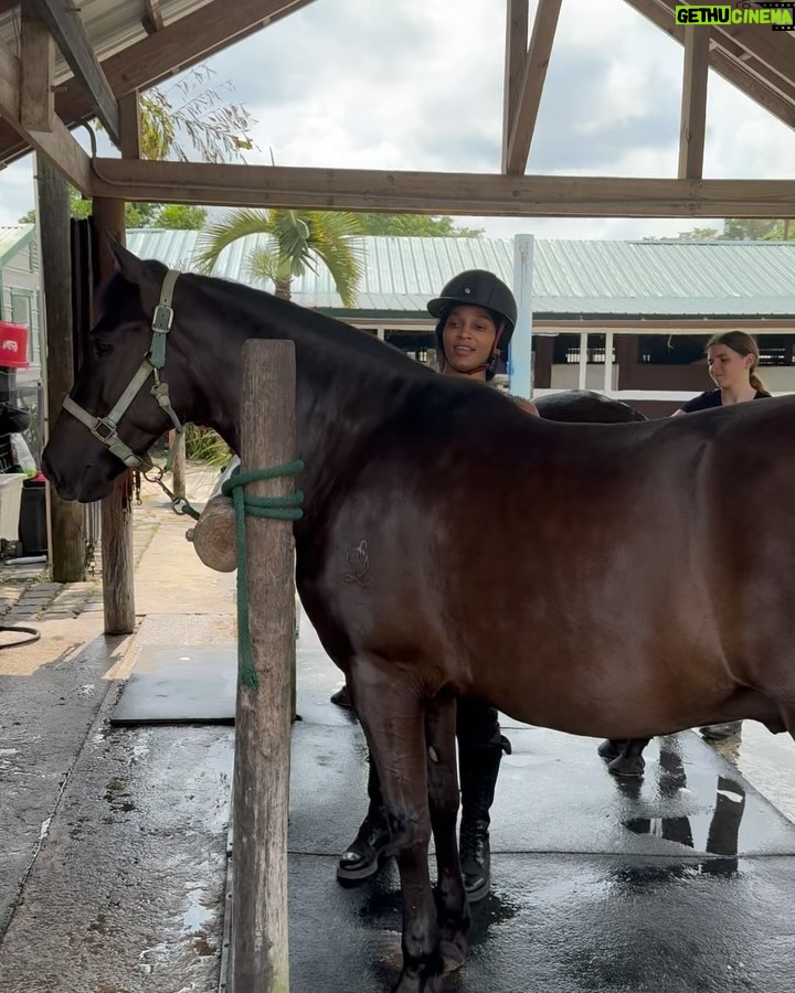 Joseline Hernandez Instagram - Spending Saturday with the #family 🐎🐎🐎🐎🐎 #pasofino Miami Beach, Florida