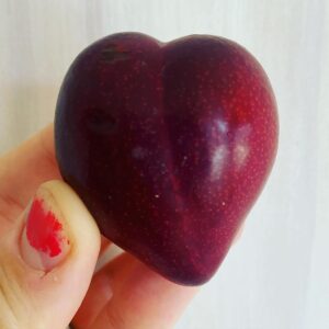 Joseph Gordon-Levitt Instagram - Pointy Plum ❤️
